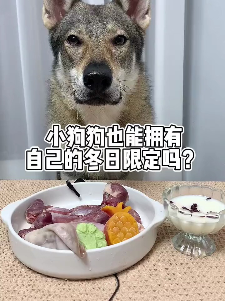 小狗狗的冬日限定