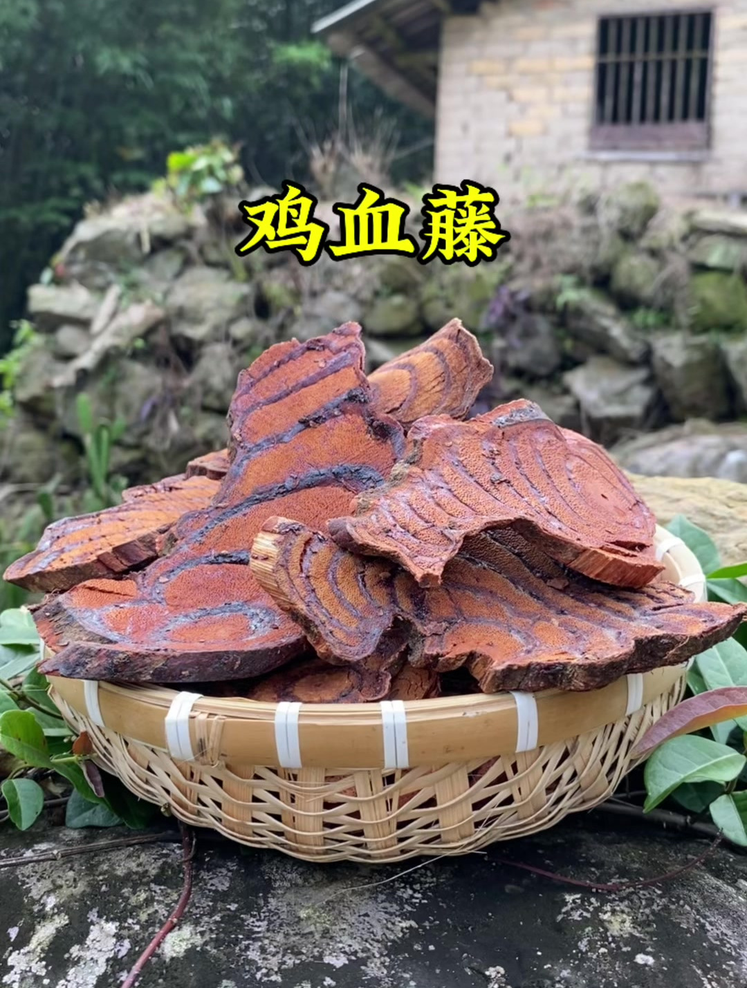 广西深山采挖的鸡血藤,看看你喜欢吗?