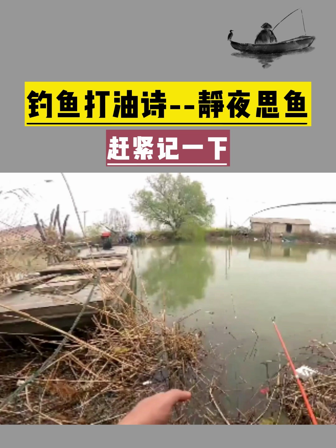 钓鱼打油诗——静夜思鱼