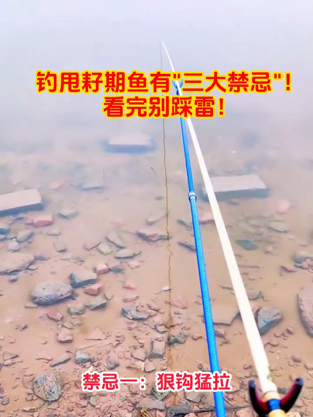 钓友们注意了!钓甩耔期鱼有“三大禁忌”,看完别踩雷!