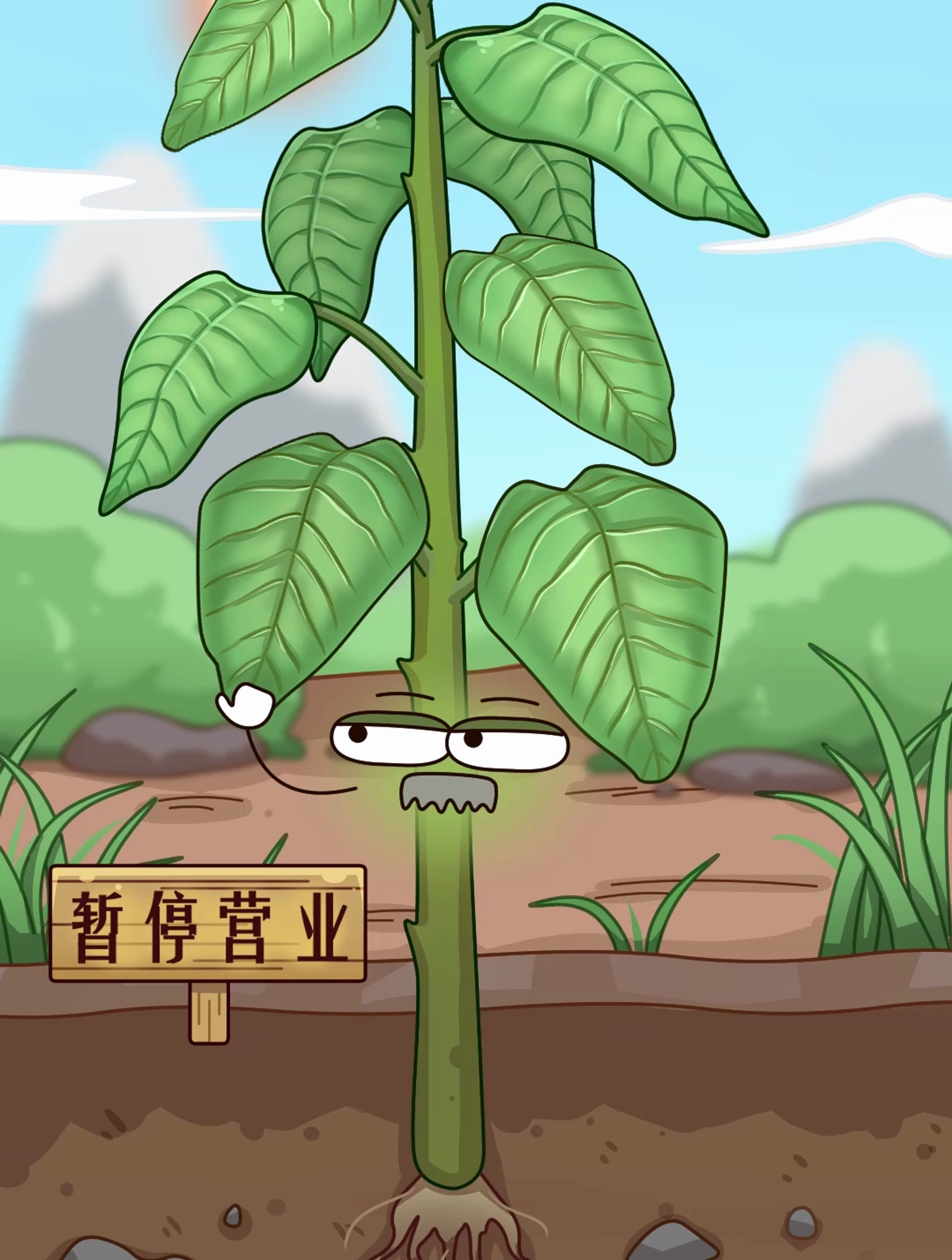 一口提神,两口“升仙” 霉苋菜梗