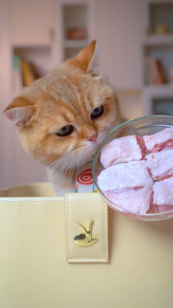 假如你有一个火鸡腿,你会怎么吃呀