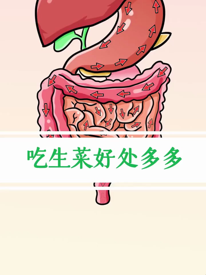 吃生菜的好处