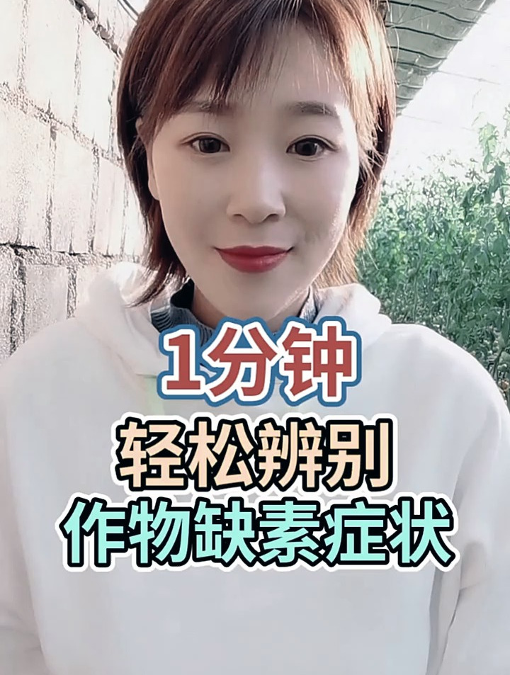 1分钟轻松辨别作物缺素症状 农业 农业种植