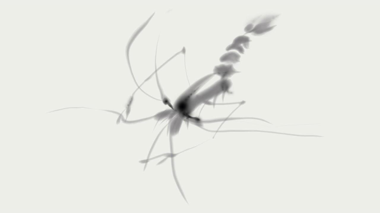 怎样画齐白石先生的虾?电脑板绘水墨画绘画教程