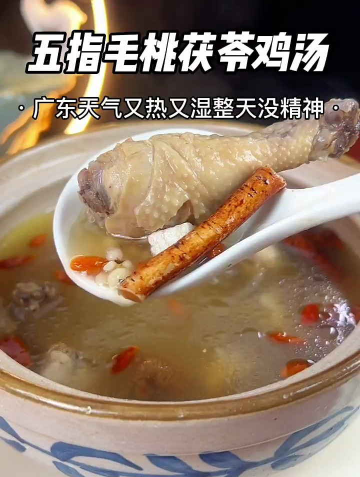 广东天气又热又湿,可以叫家里晚餐时间安排个五指毛桃茯苓鸡汤