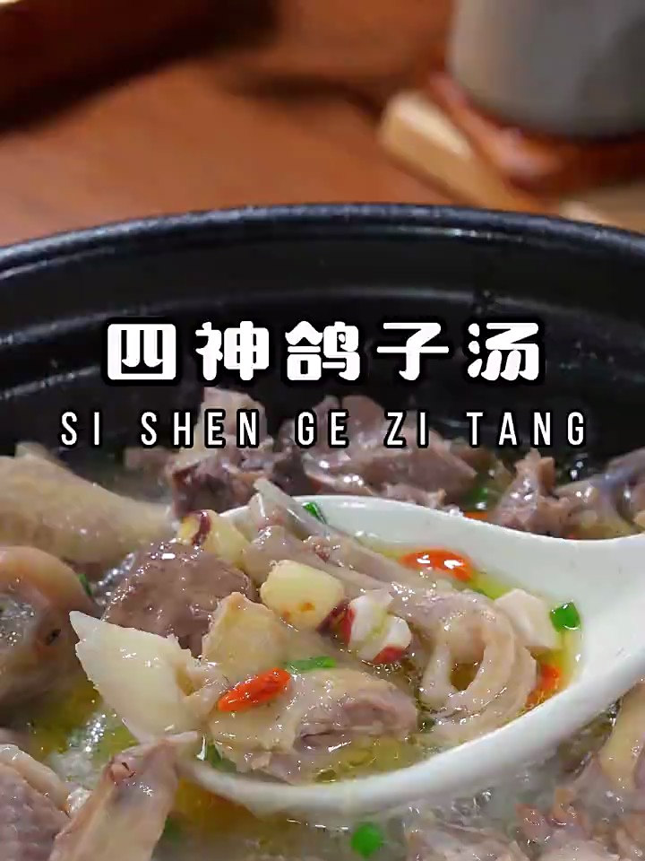 大名鼎鼎的四神鸽子汤，老人小孩都能喝