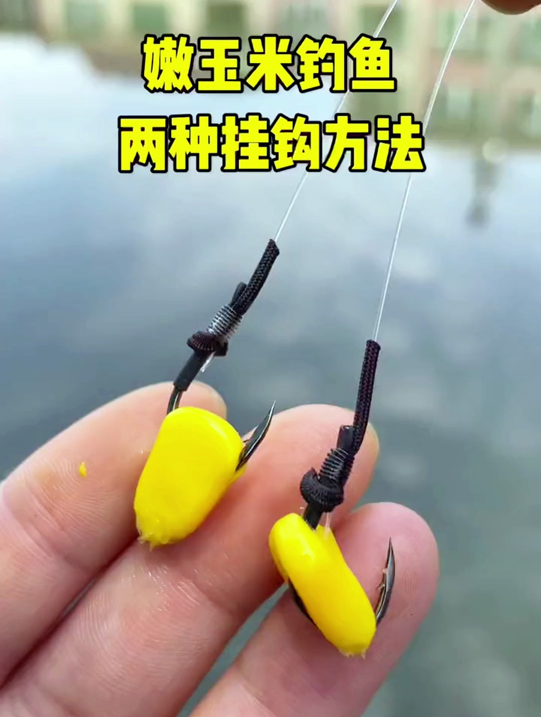 嫩玉米钓鱼,两种实用的挂钩方法