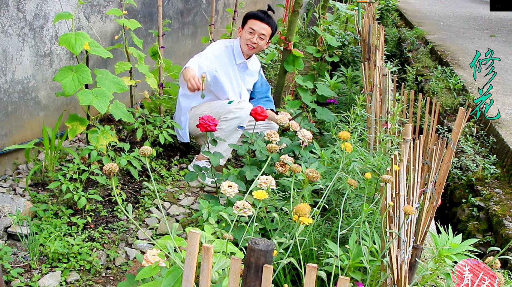 [图]花开到荼蘼,又是一轮新的繁盛,这样做花谢后再爆棚