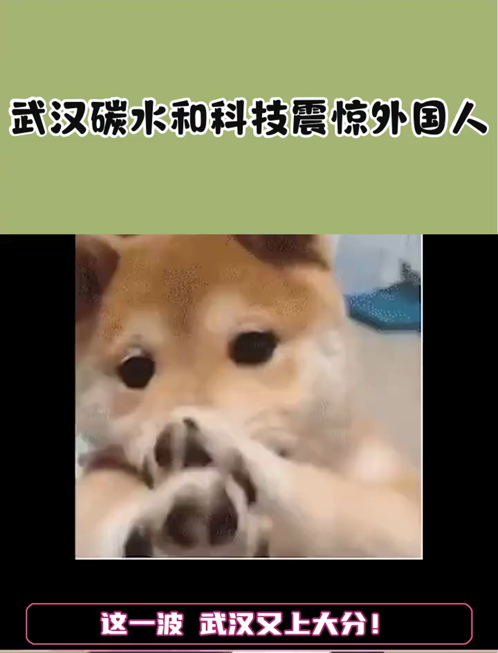 就这个中国美食和科技爽!