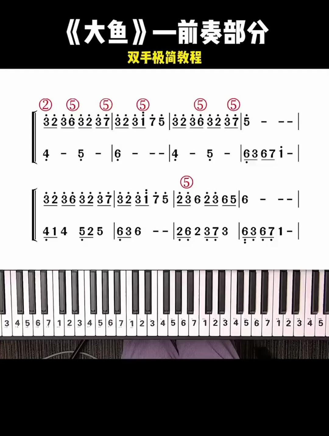 初学者就可以弹奏的超简单版本《大鱼》
