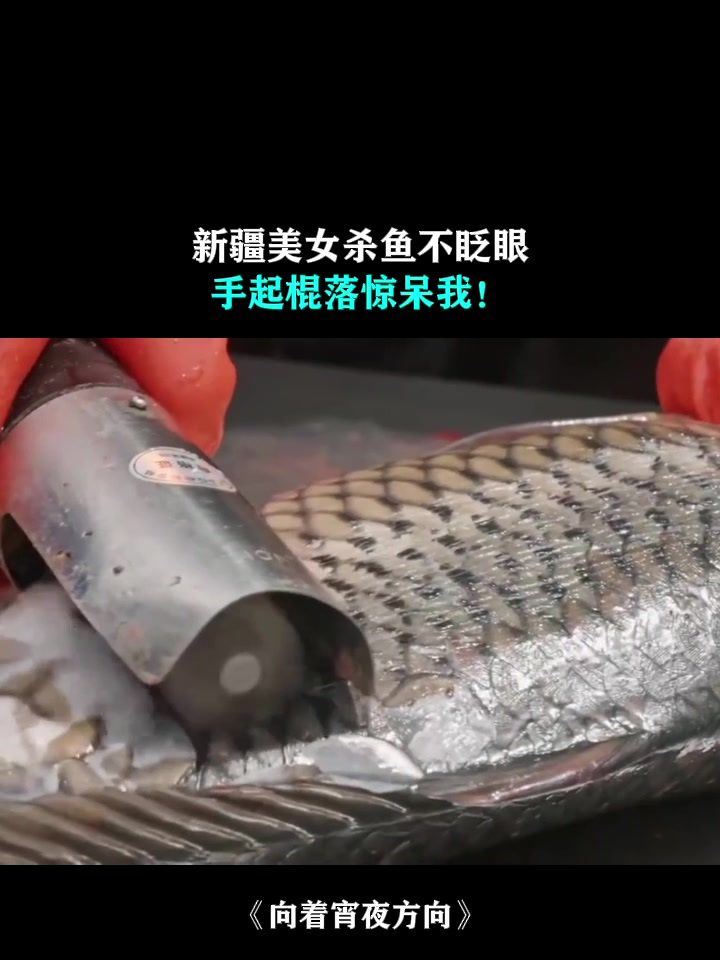 向着宵夜方向:新疆美女杀鱼不眨眼,手起棍落惊呆我!