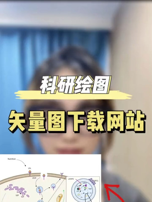 如何绘制高级的科研图?矢量图素材下载网站推荐!