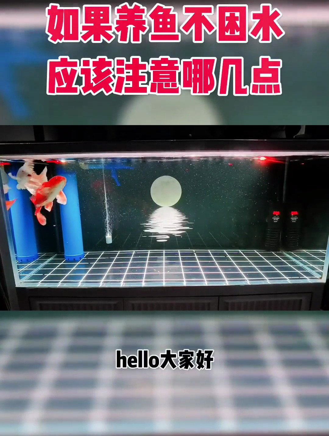 如果养鱼不困水 那换水应该注意哪几点 视频创作不易