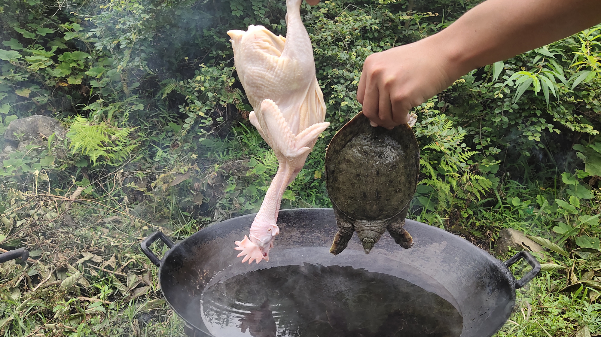 霸王别鸡,一只甲鱼一只鸡,小伙这做法真带劲,摄影师都说看饿了