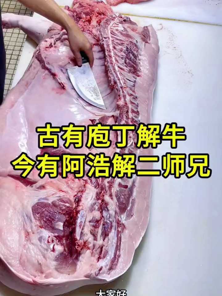 阿浩教你选猪肉,又解压又能涨知识的分割视频!大家多多支持!