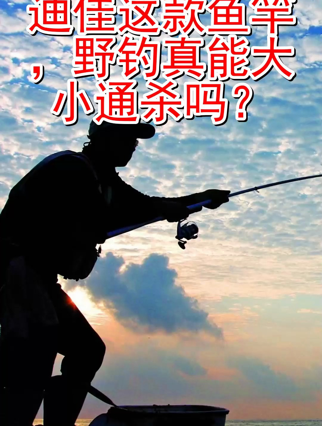 迪佳这款鱼竿 野钓真能大小通杀吗?