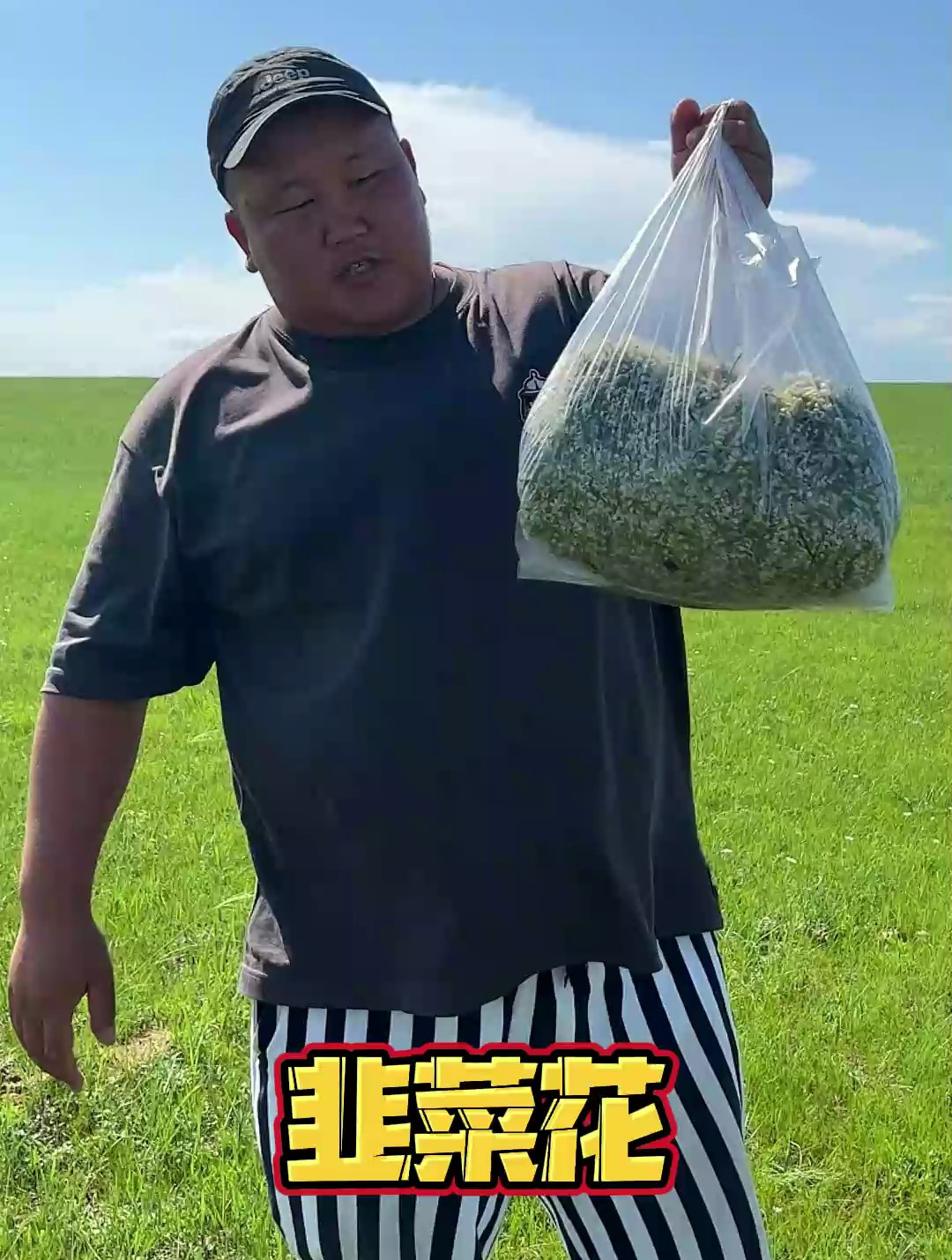 开始采韭菜花了,搭配新鲜的羊肉绝了