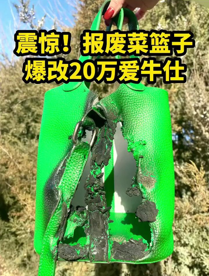 报废菜篮子,改成了新款,你喜欢吗?