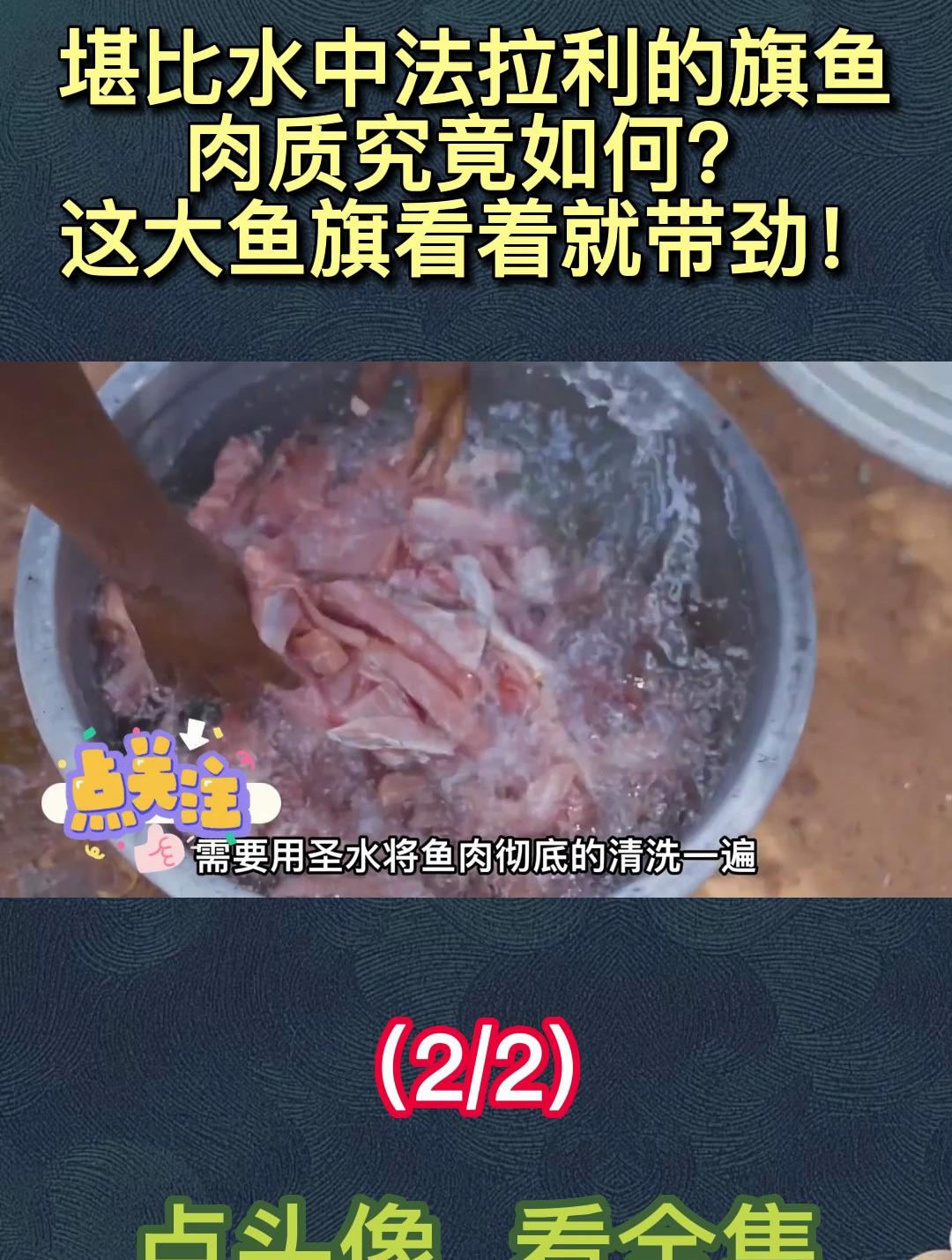 堪比水中法拉利的旗鱼,肉质究竟如何?这大鱼旗看着就带劲!