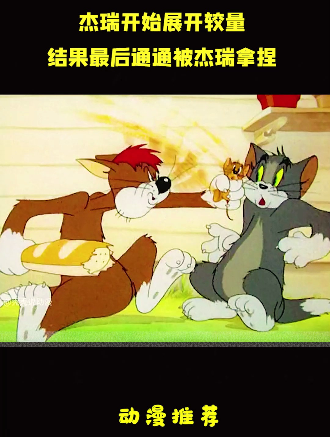 69汤姆跟橘猫为了争夺杰瑞开始展开较量,结果最后通通被杰瑞拿捏