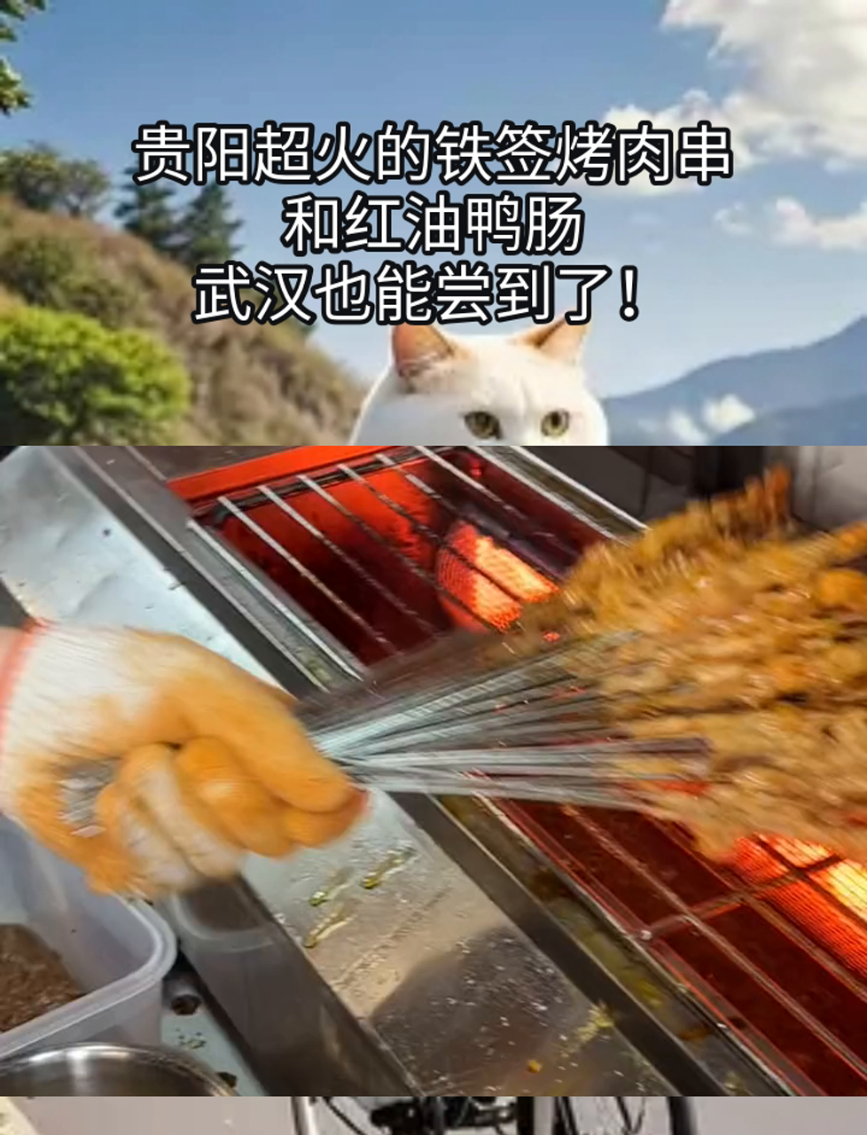 贵阳超火的铁签烤肉串和红油鸭肠,武汉也能尝到了!