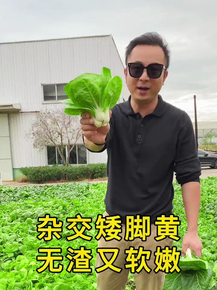 男子种的青菜,长得像朵花,网友:一看就很花心