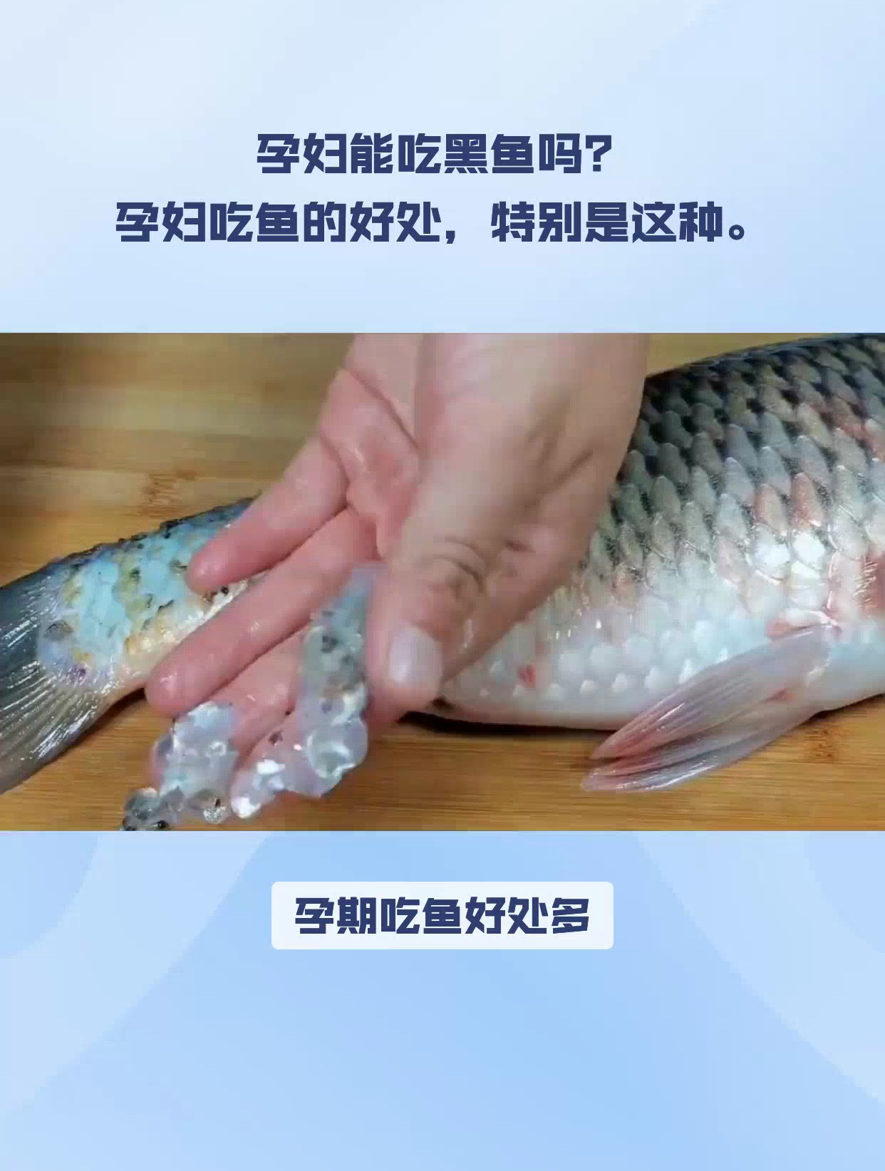孕妇能吃黑鱼吗?孕妇吃鱼的好处,特别是这种鱼!