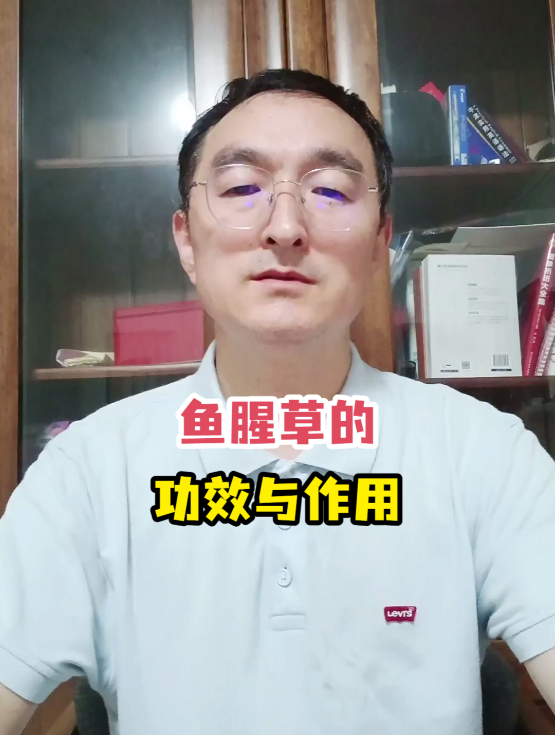 鱼腥草的功效与作用