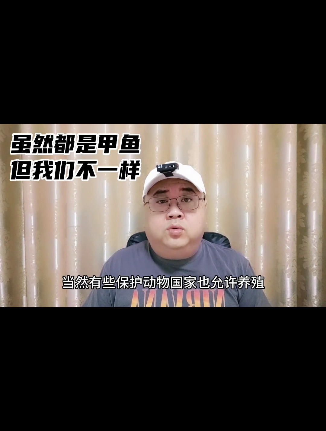 都是甲鱼,家养的和野生的有啥不一样?