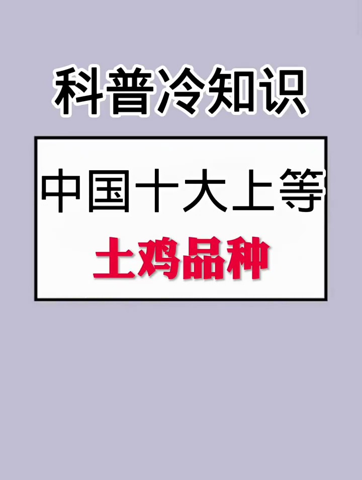 中国十大上等土鸡品种
