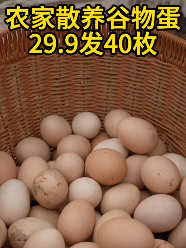 农家散养谷物蛋土鸡蛋
