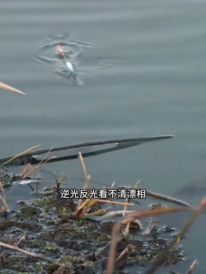 传统钓鲫鱼铜头钩短尾小立漂线组!
