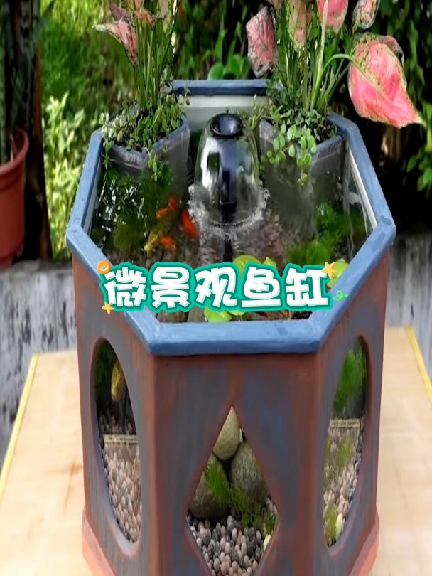 农村小伙在家制作微景观鱼缸,养鱼的同时还能欣赏美景,惬意极了