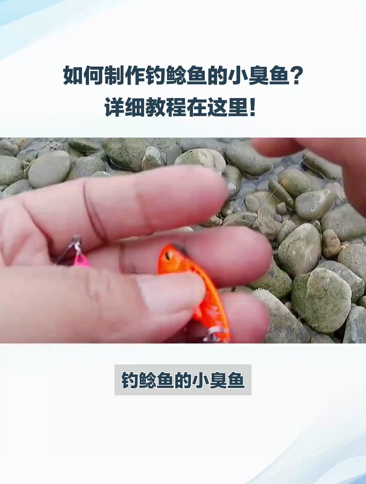 钓鲶鱼小臭鱼制作方法,天然饵料,轻松诱鱼!