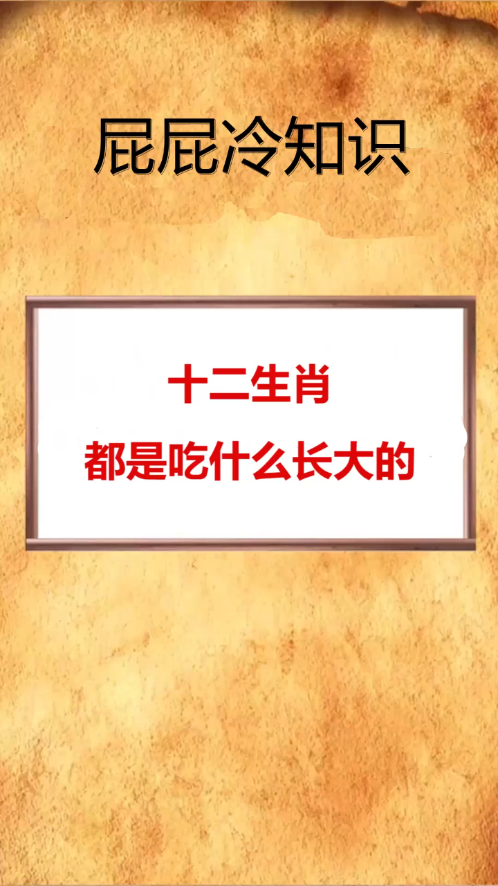 十二生肖都是吃什么长大的!