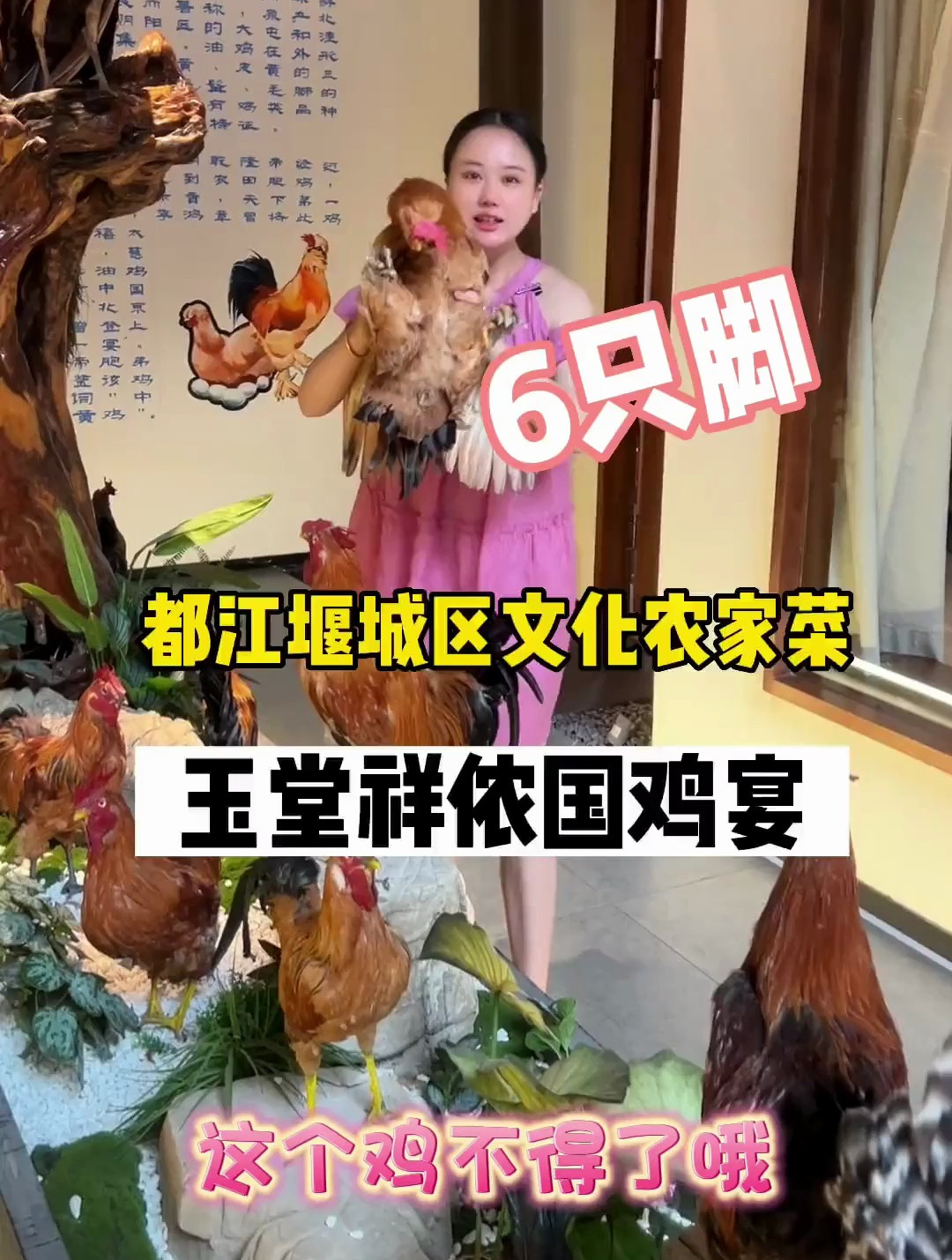 都江堰竟然可以吃到北京油鸡,还是6只脚还有戴帽子的?