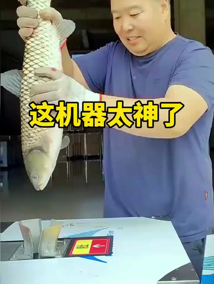 鱼摊老板和烤鱼店要是有这机器该多方便啊