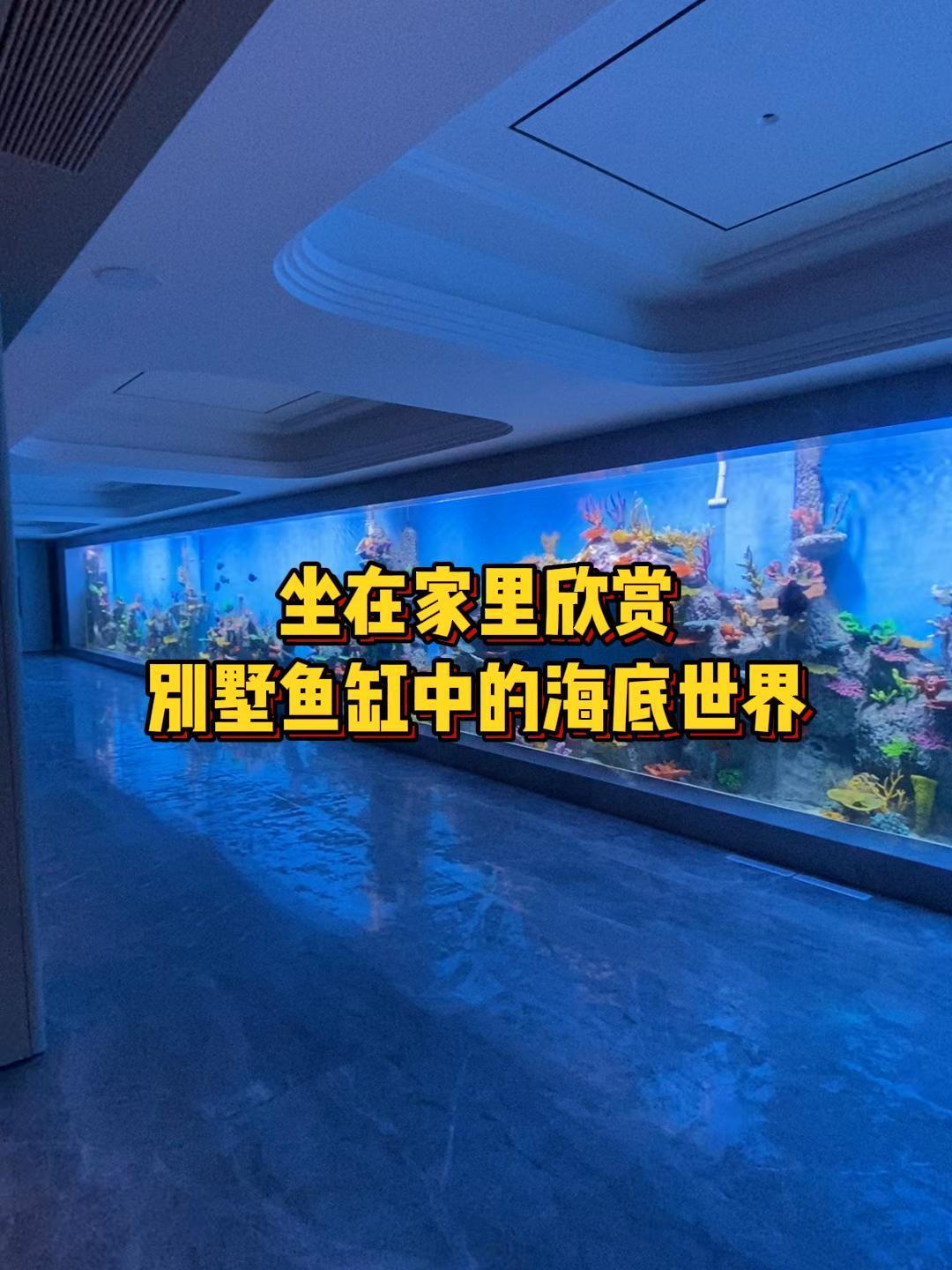 坐在家里欣赏别墅鱼缸中的海底世界,大型鱼缸定制