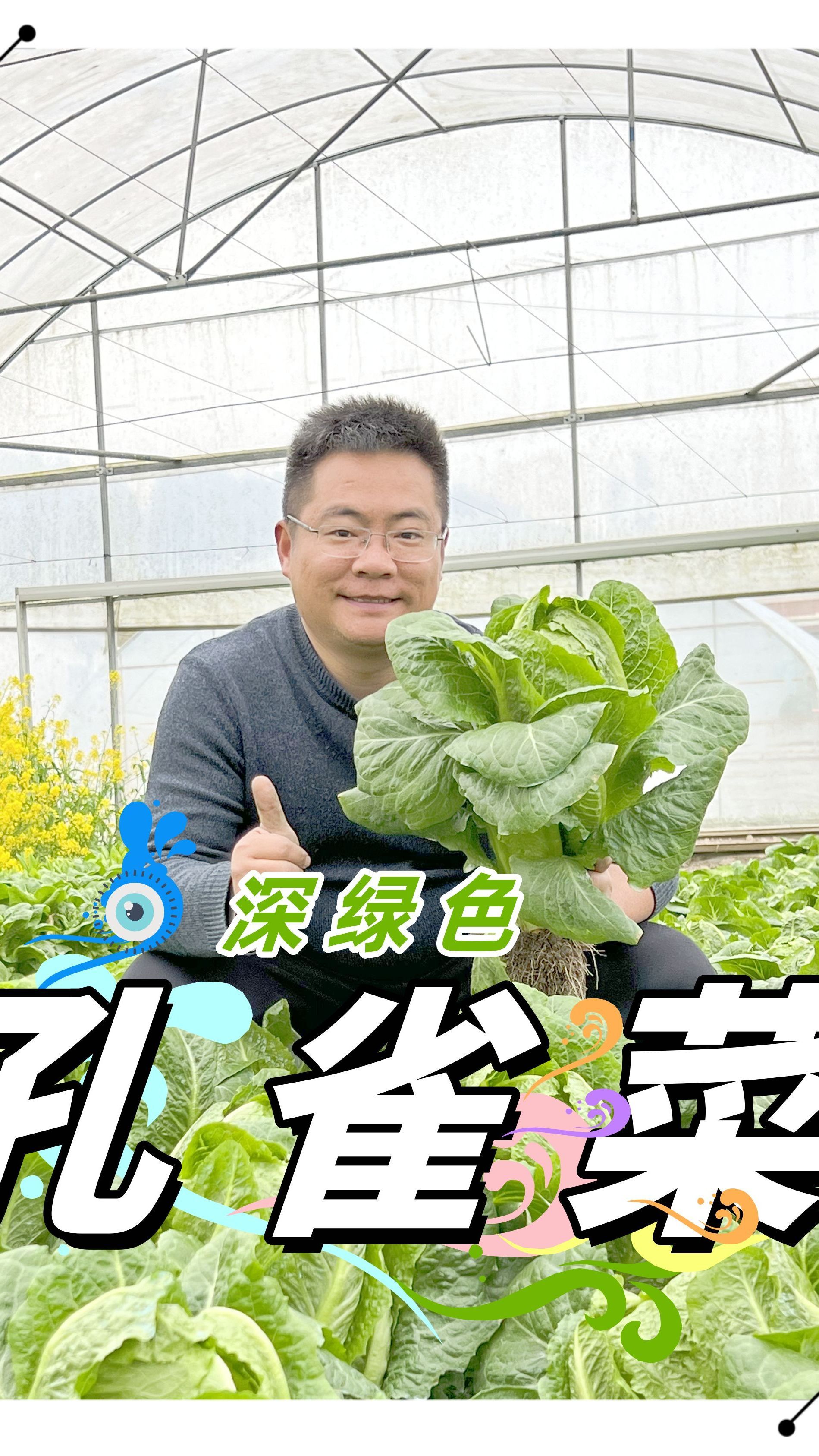 4月17日-深绿色孔雀菜