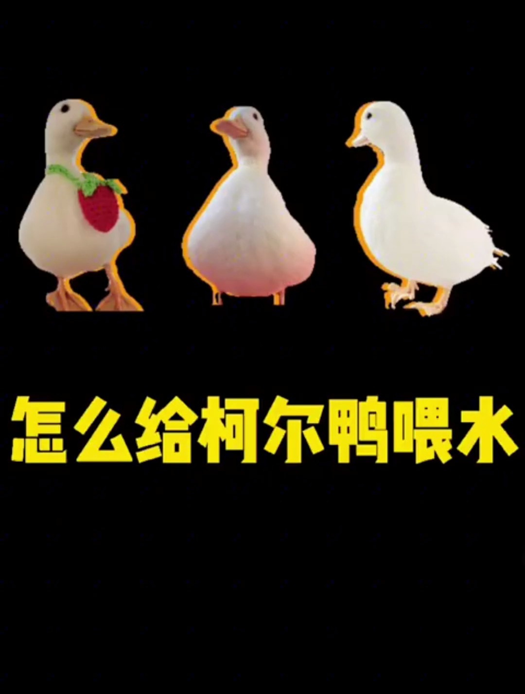 多么懂事的小鸭子 在蛋里就会喝水了