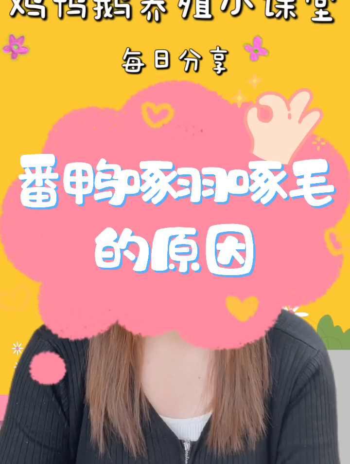 鸭子啄毛有什么办法?番鸭啄毛如何解决?番鸭互相啄毛吃怎么办?