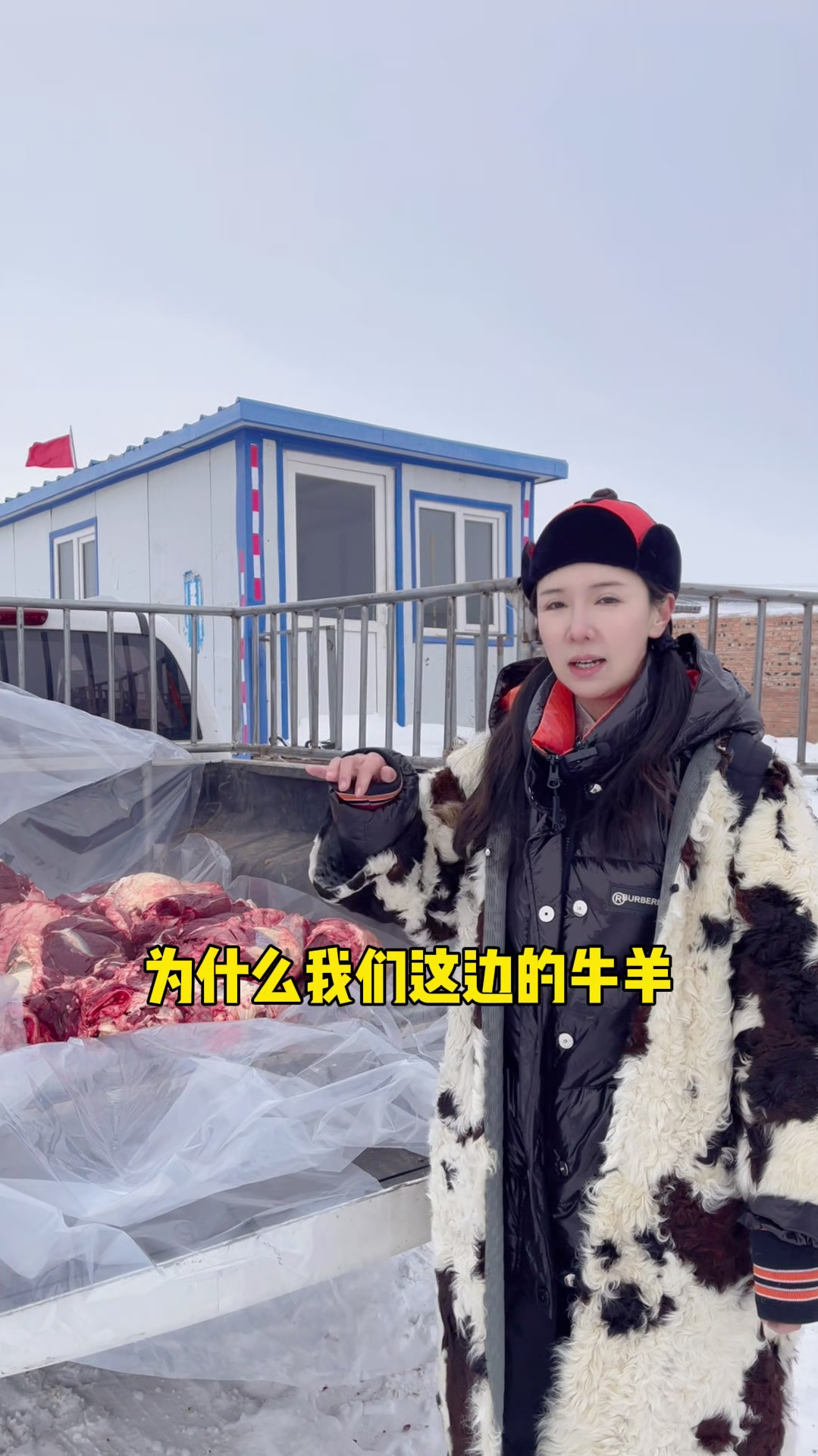 想吃好牛羊肉,内蒙古就有