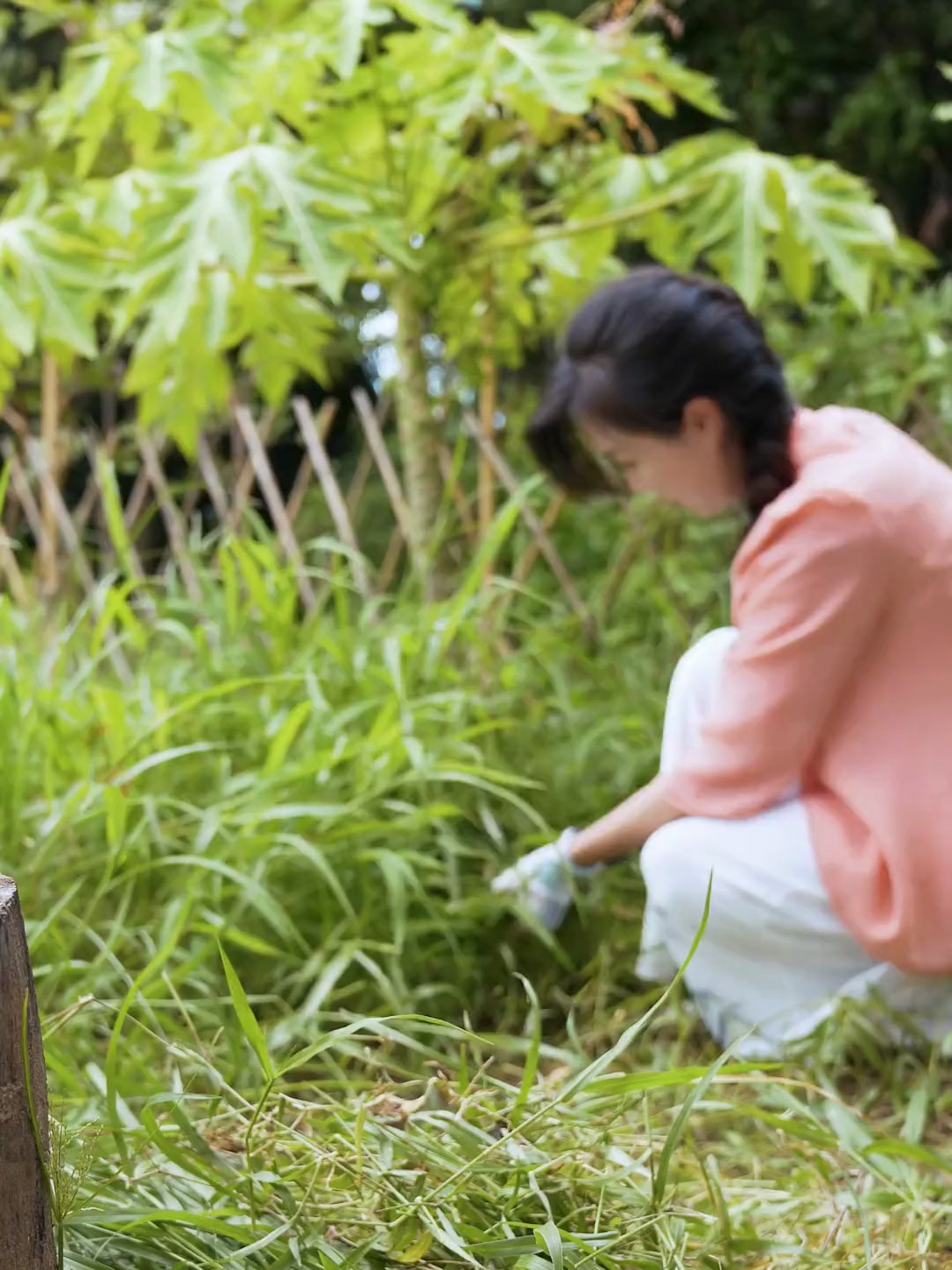红烧鱼的家常做法应该也挺多,今天就做个简单又好吃的客家红烧鱼
