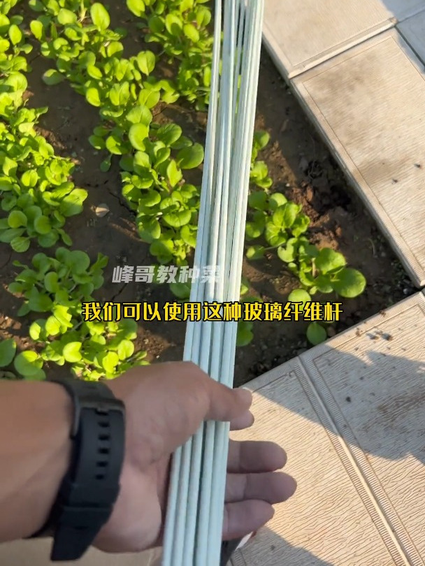 马上到了搭棚的季节,快给你的蔬菜搭个简易小拱棚吧!冬天也有新