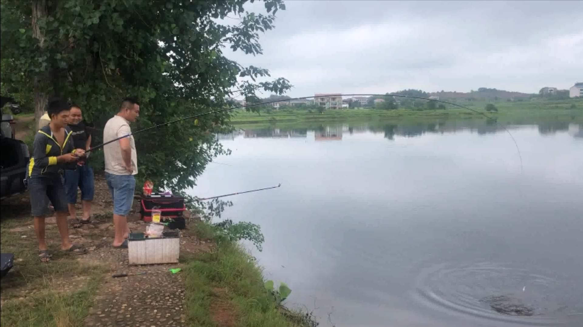 用秘制谷麦打窝连续中鱼,附近钓友都躁动不已,看着眼里满是羡慕