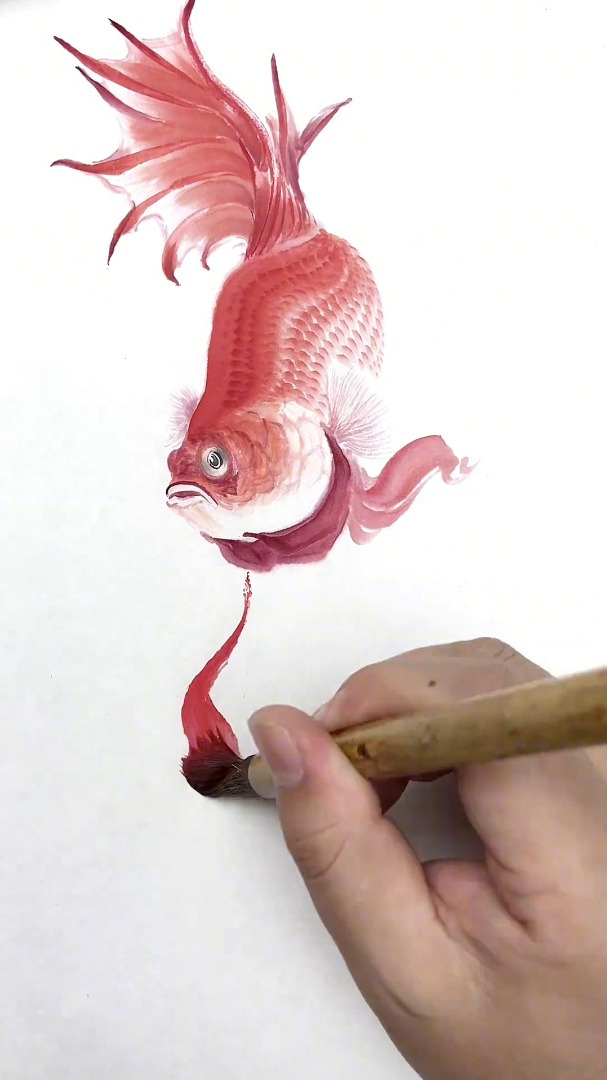 画斗鱼,不允许我谦虚的事实