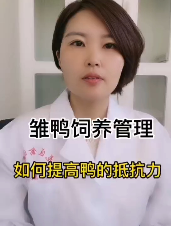 禽医静心谈雏鸭饲养管理如何提高鸭的抵抗力