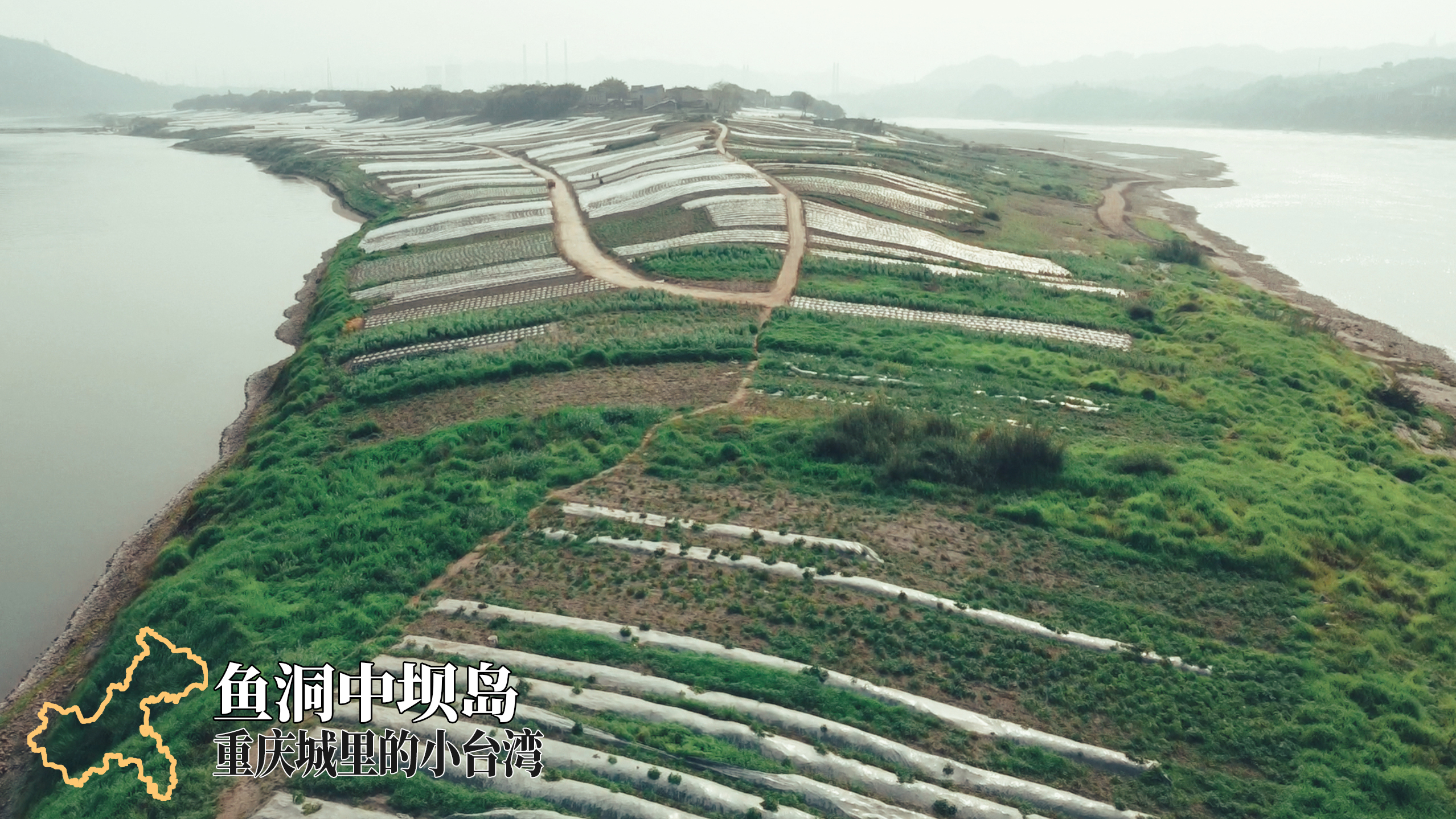 [图]重庆风物志：鱼洞中坝岛，重庆城里的小台湾