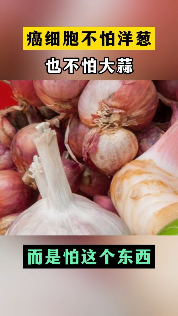 癌细胞不怕洋葱也不怕大蒜,而是怕这个东西